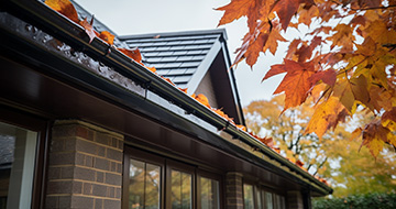 What Sets Our Gutter Cleaning Services in Shadwell Apart?