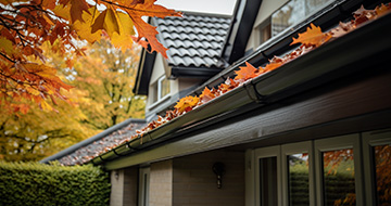 What Sets Our Gutter Cleaning Services in Hacton Apart?