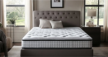 Skilled, Vetted Mattress Cleaning Experts in Kentish Town