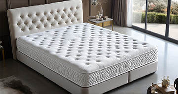 Experience Deep Mattress Cleaning in Haringey