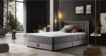Meet Our Professional Mattress Cleaners in Merton