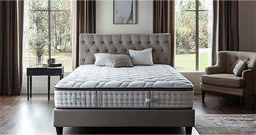 Why Choose Our Mattress Cleaning Services in Plumstead?