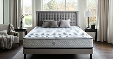 Trained and Certified Mattress Cleaning Experts in Battersea