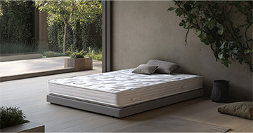 Meet Your Local Mattress Cleaning Experts in Camden Town
