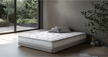 Meet Your Local Mattress Cleaning Experts in Canning Town