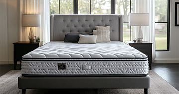 Meet Our Professional Mattress Cleaners