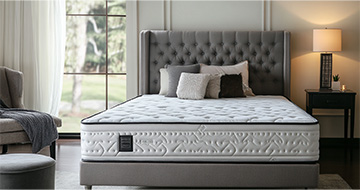 Why Choose Our Mattress Cleaning Service in Dulwich?