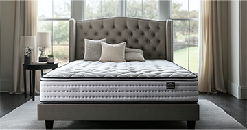 Meet Our Professional Mattress Cleaners