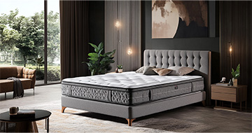 Meet the Professional Mattress Cleaners in East Finchley