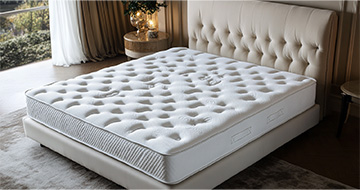 Meet Your Professional Mattress Cleaners in Eltham