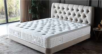 Meet Your Mattress Cleaning Experts in Fitzrovia