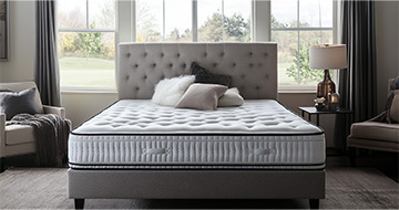 Meet Our Professional Mattress Cleaners