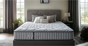  Why Choose Our Mattress Cleaning Service in Harringay?