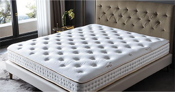 Meet Your Professional Mattress Cleaners in Harringay