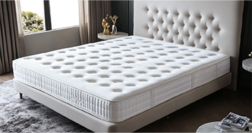 Meet Our Professional Mattress Cleaners in Highbury