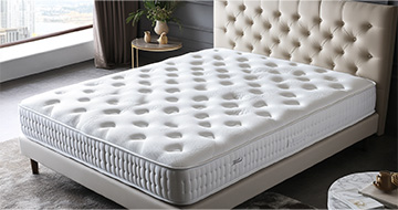 Meet Our Professional Mattress Cleaners in Golders Green