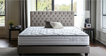Why Choose Our Mattress Cleaning in Harlesden?
