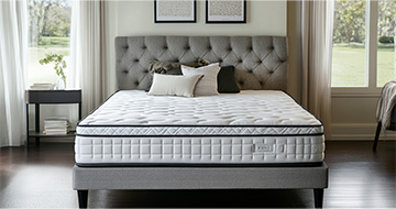 Meet Your Mattress Cleaning Experts in Harlesden
