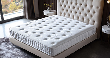 Trained, Trusted Mattress Cleaners in Homerton