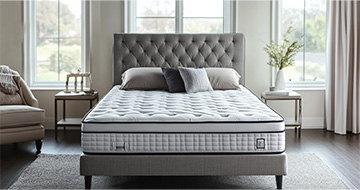 Why Choose Our Mattress Cleaning Services in Ladbroke Grove