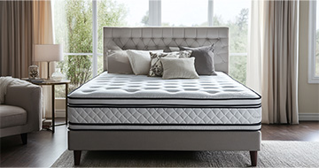 Meet Our Local Mattress Cleaning Experts