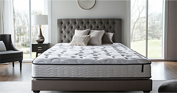 Why Choose Our Mattress Cleaning Services in Morden
