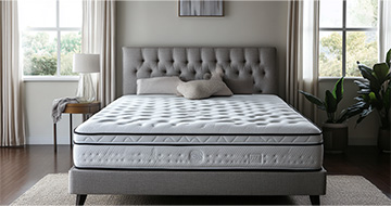 Meet Our Trained Mattress Cleaning Specialists in Morden