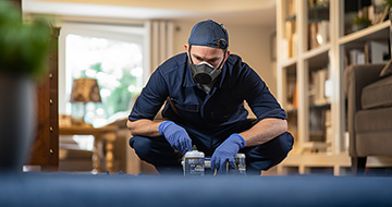 Trust our experts for reliable pest control in Chiswick