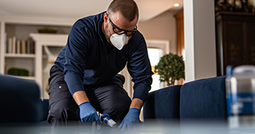 Why Do We Offer the Best Pest Control in Fulham?