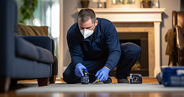 Why Our Pest Control Services in Mayfair are Popular?