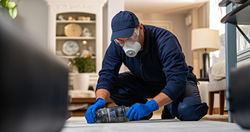 Professional Pest Control Service in Notting Hill for a Safe and Secure Environment at Your Home or Business