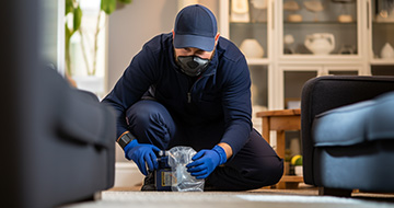 Effective Pest Control in Canonbury for a Safe and Secure Environment at your Home or Business