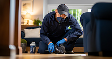 Why Our Pest Control Services in Edmonton are So Popular?