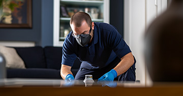 Effective Pest Control in Edmonton for a Safe and Secure Environment at your Home or Business