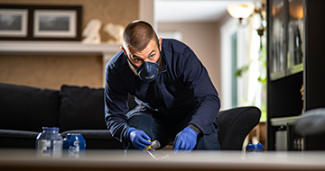 Why is Our Pest Control Services in Finsbury Park Popular?