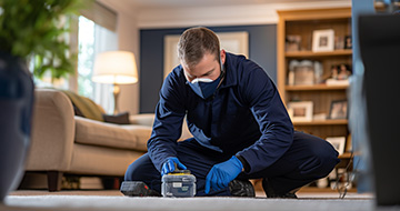 What Makes Our Pest Control Services in Harringay So Good?