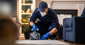 What Makes Our Pest Control Services in Palmers Green a Preferred Choice?