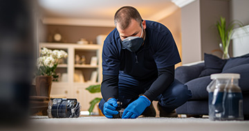 What Makes Our Pest Control Services in Southgate a Preferred Choice?
