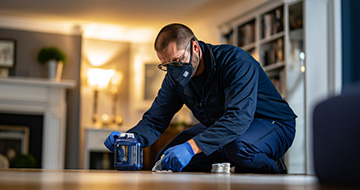 What Makes Our Pest Control Services in Tottenham a Preferred Choice?
