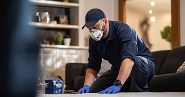 What Makes Our Pest Control Services in Crofton Park a Preferred Choice?