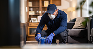 Crystal Palace Pest Control for a Safe and Secure Environment at Your Home or Business