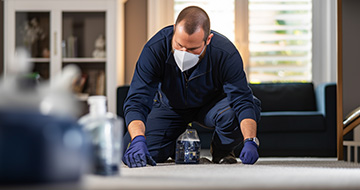 What Makes Our Pest Control Services in Dulwich a Preferred Choice?