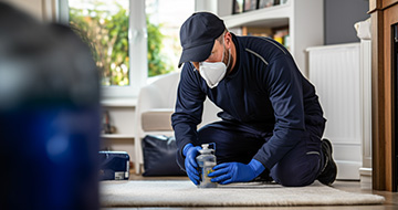 Maintaining a Pest-Free Environment at Your Home or Business