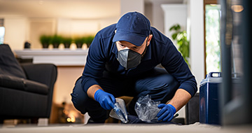 Why Choose Our Pest Control Services in Raynes Park?