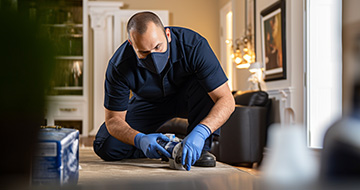 Making Your Home or Business Pest-Free: Professional Pest Control for a Safe and Secure Environment