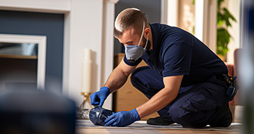 Why is Our Pest Control Services in Victoria So Popular?