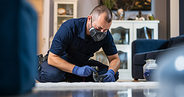 Why is our Pest Control Service in Clerkenwell So Popular?