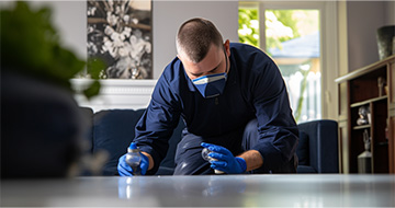 Secure Pest Control for a Safe and Secure Environment at Your Home or Business