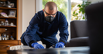 Securing Safe and Healthy Environments with Professional Pest Control Services