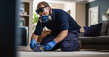 Professional Pest Control for a Safe and Secure Environment at Your Home or Business